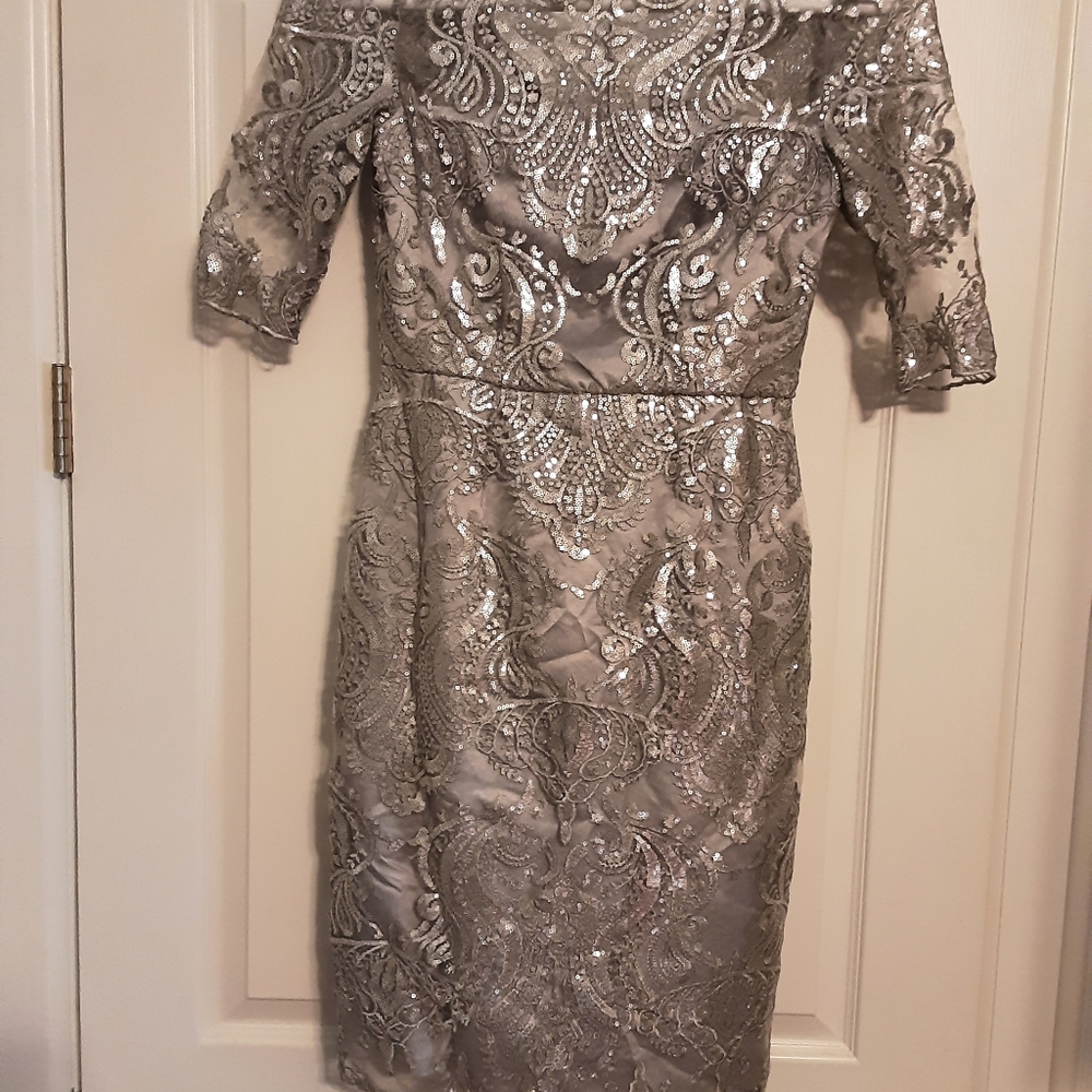 Tahari Elegant Silver Lace Dress (Worn Once)